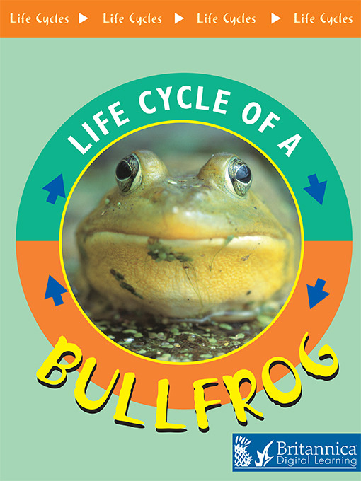 Title details for Bullfrog by Jason Cooper - Available